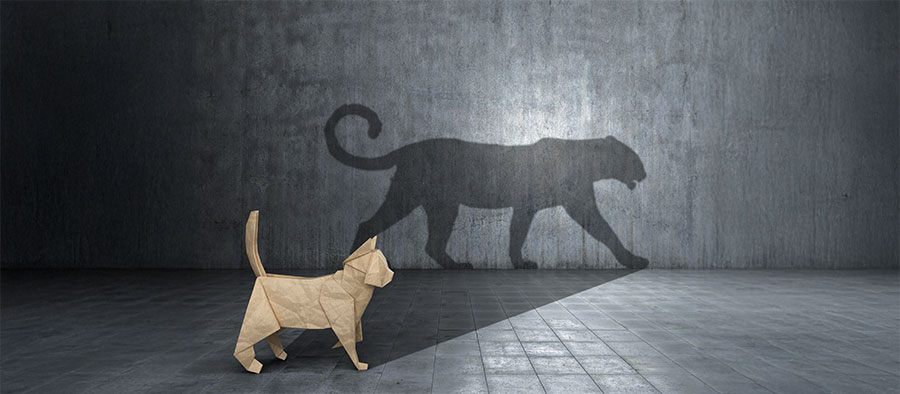 Sandstorm Design Logo